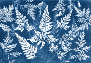 Virtual Sun Printing (Kit Included)